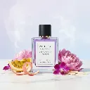 sed noire notes.webp