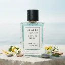 coastal breeze notes.webp