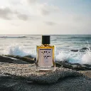 Undefeated Kinf.webp